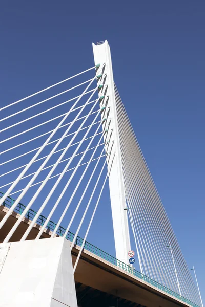 Queen Elisabeth bridge — Stock Photo, Image