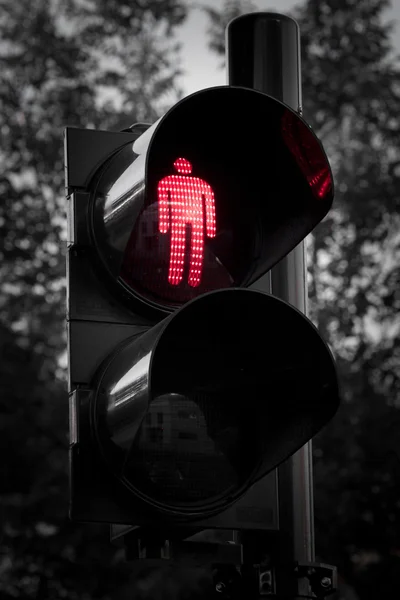 stock image Crosswalk Light with red light on