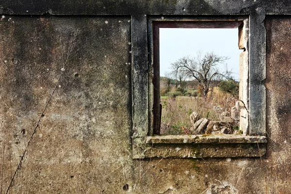 Naturfenster II — Stockfoto
