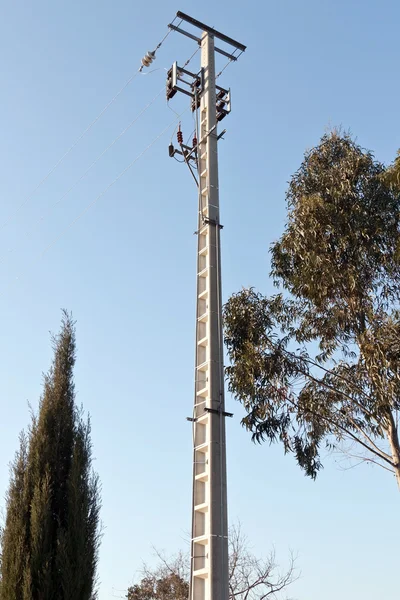 Medium Voltage Pole between some trees, under blue sky — Stock Photo, Image