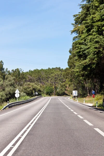 Autostrada vuota contro il cielo blu e boschi — Foto Stock