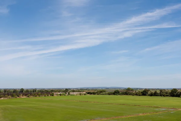 Blauwe hemel over groene veld oin portugal laaglanden — Stockfoto