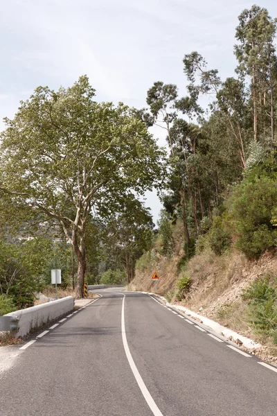 Estrada de asfalto vazia colinas forjadas contra florestas e céu — Fotografia de Stock
