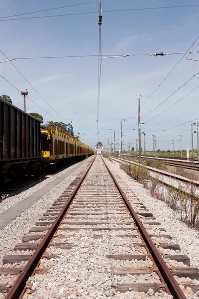 Enkele spoorlijn naar horizon met lege lading wagons aan kant — Stockfoto