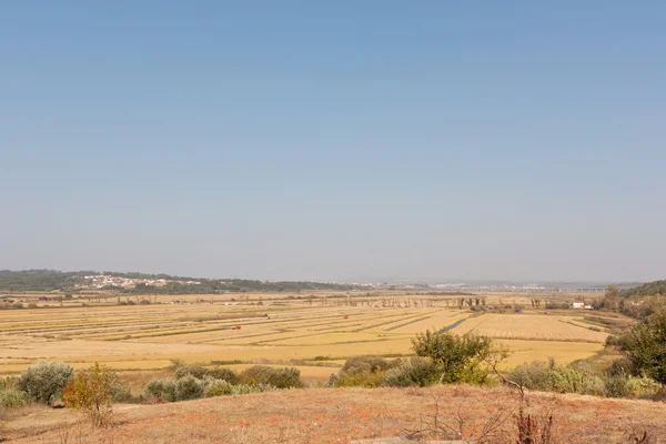Tierras bajas de trigo — Foto de Stock