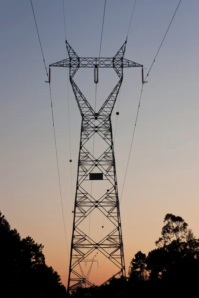 Pylon ad alta tensione contro boschi e cielo al tramonto — Foto Stock