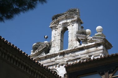 Stork nests