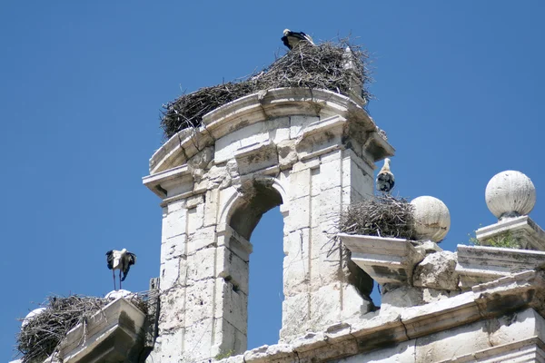 Stork nests Stockafbeelding