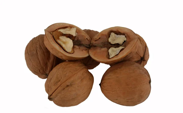 stock image Walnuts on a white background