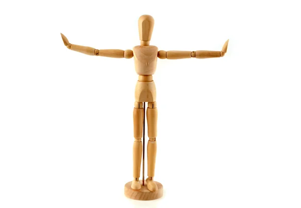 A wooden model on a white background Stock Picture