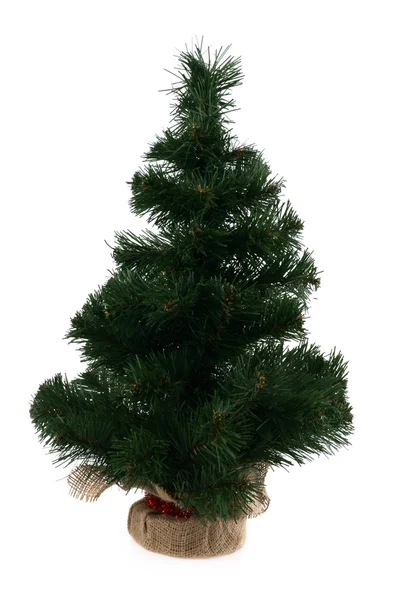 New-year tree on a white background — Stock Photo, Image