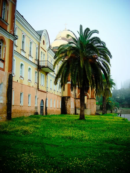 Palmier la o mănăstire — Fotografie, imagine de stoc
