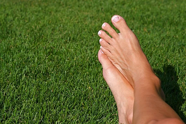 stock image Barefoot in the Grass