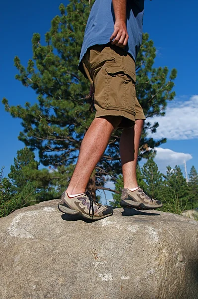 stock image Trail Running