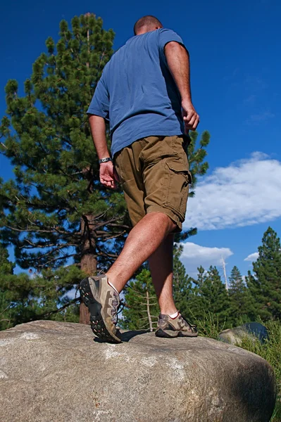 stock image Trail Running