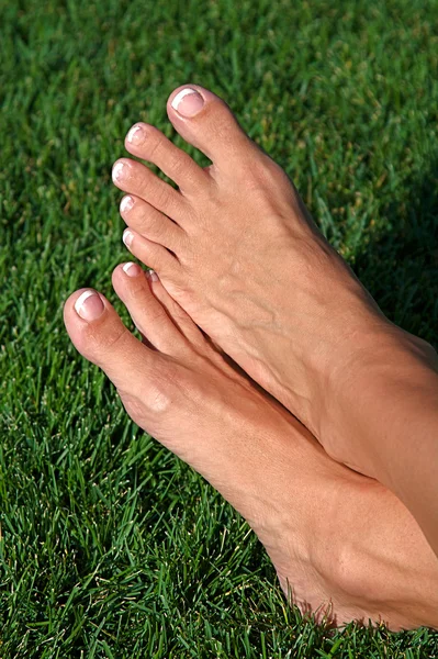 stock image Barefoot in the Grass