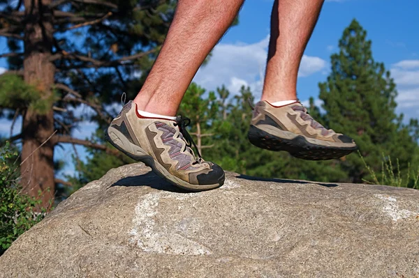 stock image Trail Running