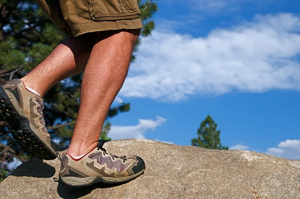 stock image Trail Running