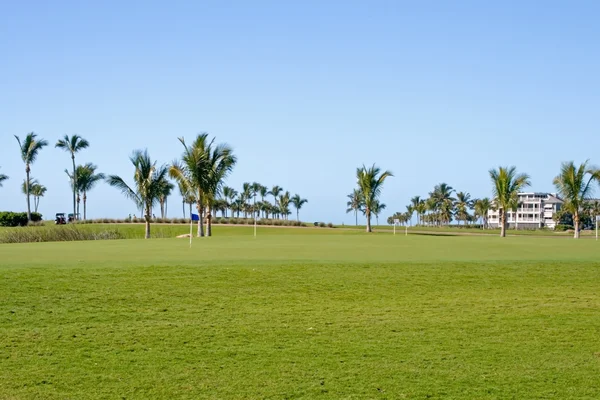 Campo de golf —  Fotos de Stock