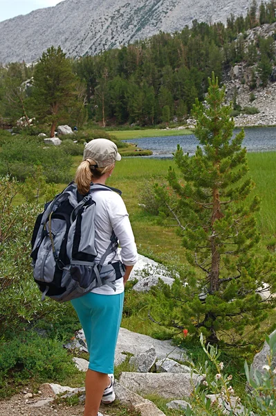 Stock image Hiking