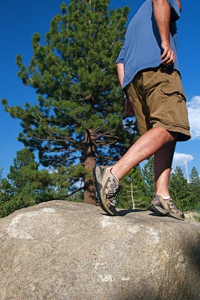 stock image Trail Running