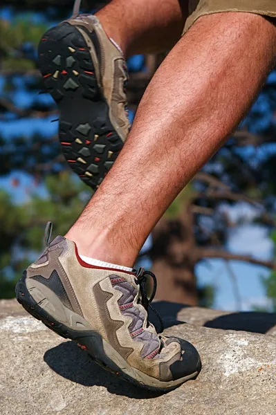 stock image Trail Running