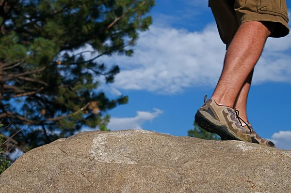 stock image Trail Running