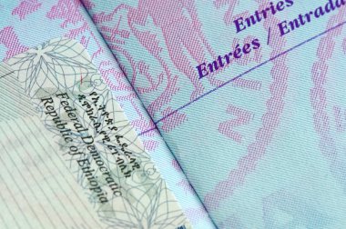 pasaport damgası