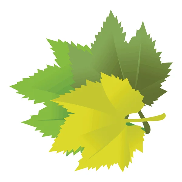 Листья — стоковый вектор