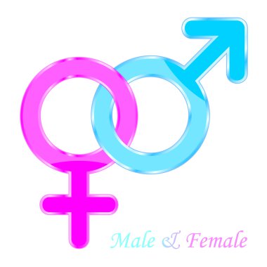 3d vector illustration of male and female symbol clipart