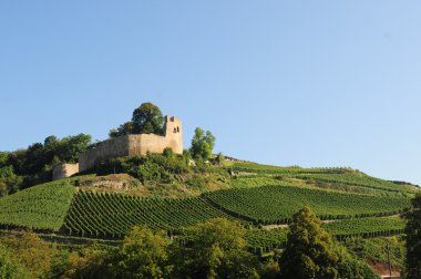 Castle and vineyard clipart