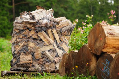 Firewood in Net Bag clipart