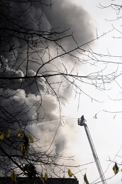 stock image Firefighter Brandeinsatz