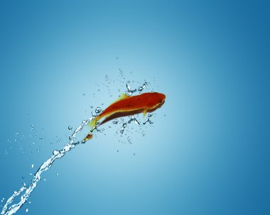 Golden fish jumping out of water clipart