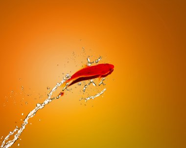 Golden fish jumping out of water clipart