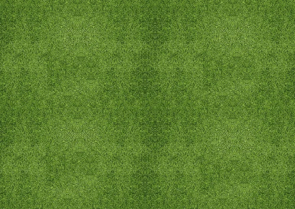 绿色草地纹理 — 图库照片