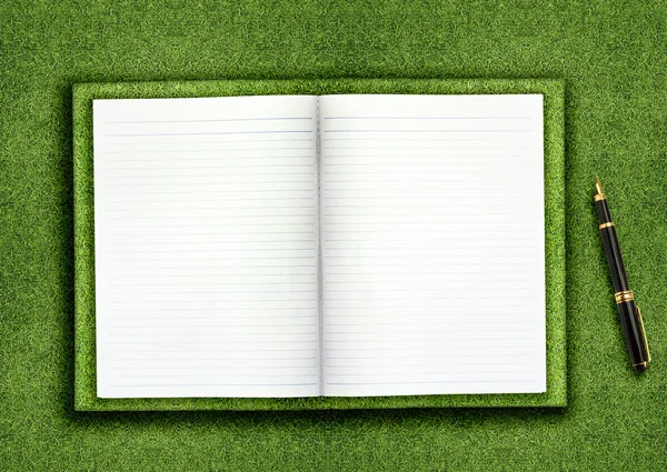 Libro en blanco sobre hierba — Foto de Stock