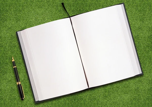Boek met blanke pagina op gras — Stockfoto