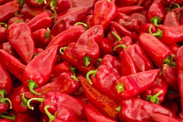 stock image Red Peppers