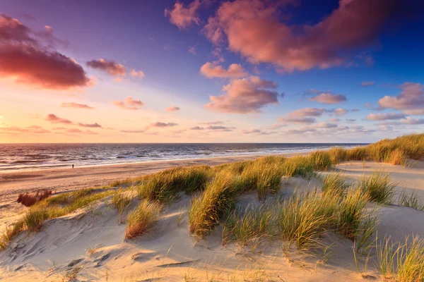 Море с песчаными дюнами на закате — стоковое фото