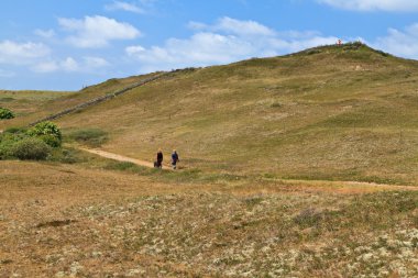 kadınların köpeklerle dunes içinde yürüyüş