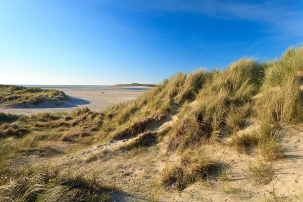 Sand dunes with helmet grass — Stock Photo, Image
