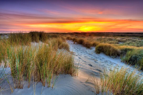 Litoral com dunas de areia ao pôr do sol — Fotografia de Stock