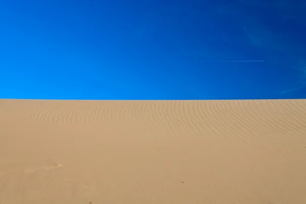 Bird footprint in the sand — Stock Photo, Image