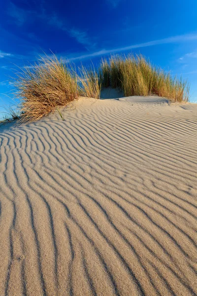 Песчаные дюны с травой в шлеме — стоковое фото