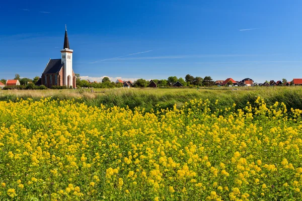 Church and flower field on a sunny day — Stock Photo, Image