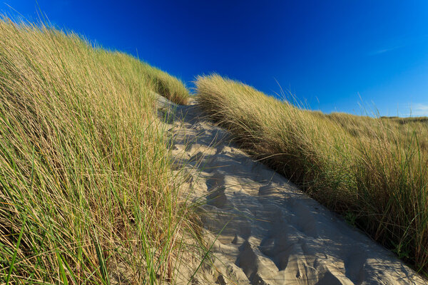 Песчаные дюны с травой в шлеме
