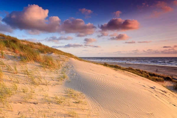 Strand met zandduinen bij zonsondergang — Stockfoto