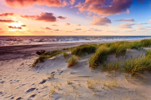 Море с песчаными дюнами на закате — стоковое фото