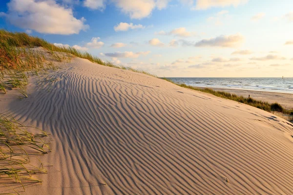 Dunas de areia com capacete grama — Fotografia de Stock